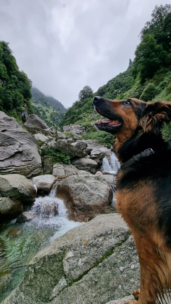 Gallu waterfall with a dog